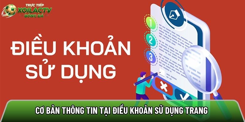 Cơ bản thông tin tại điều khoản sử dụng trang